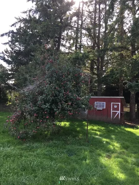 896 King Rd, Winlock, WA 98596 photo 36
