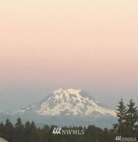 20007 18th Ave Ct E, Spanaway, WA 98387 photo 14
