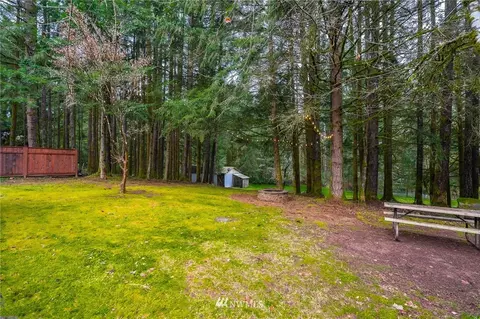 191 Tingle Rd, Winlock, WA 98596 photo 28