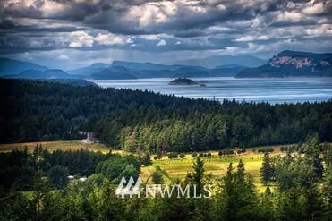 706 Mt Baker Rd, Eastsound, WA 98245 photo 39
