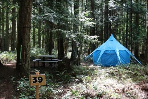 706 Mt Baker Rd, Eastsound, WA 98245 photo 22