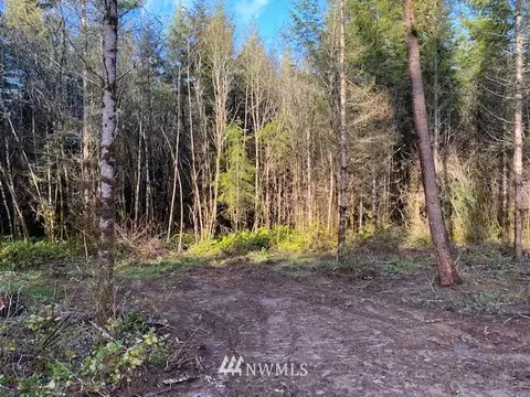 156 Nelson Rd, Winlock, WA 98596 photo 17