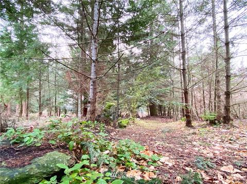 22 Gafford Ln, Eastsound, WA 98245 photo 24