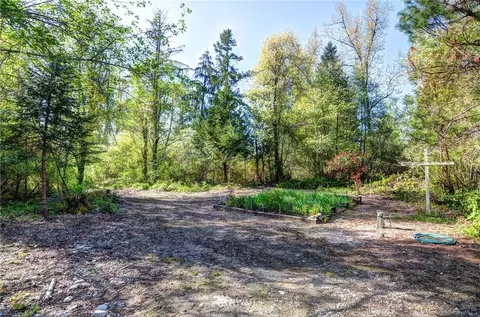 21807 26th Ave E, Spanaway, WA 98387 photo 7