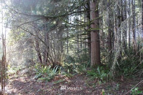 131 E Island Crest Rd, Grapeview, WA 98546 photo 5