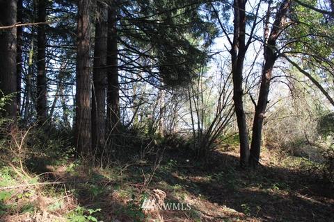 131 E Island Crest Rd, Grapeview, WA 98546 photo 7