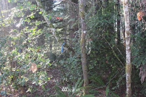 131 E Island Crest Rd, Grapeview, WA 98546 photo 6