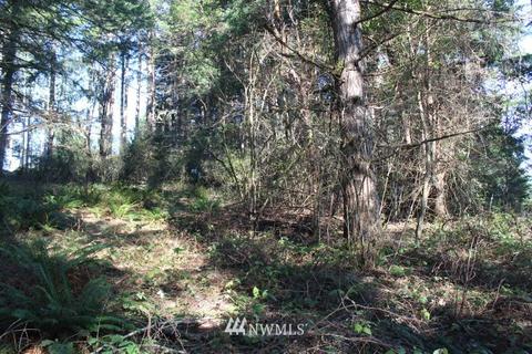131 E Island Crest Rd, Grapeview, WA 98546 photo 8
