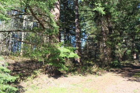 131 E Island Crest Rd, Grapeview, WA 98546 photo 9