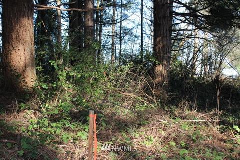 131 E Island Crest Rd, Grapeview, WA 98546 photo 4