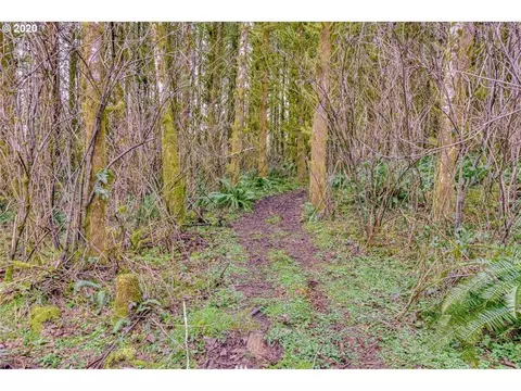 3380 Mount Pleasant Rd, Kelso, WA 98626 photo 31