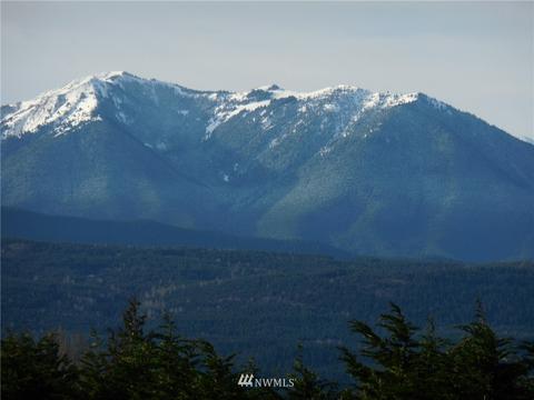 105 Plum Tree Ln, Sequim, WA 98382 photo 39