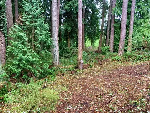 22406 31st Ave SE, Bothell, WA 98021 photo 30