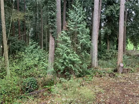 22406 31st Ave SE, Bothell, WA 98021 photo 31