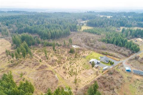 243 Bremgartner Rd, Winlock, WA 98596 photo 30