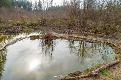 243 Bremgartner Rd, Winlock, WA 98596 photo 31