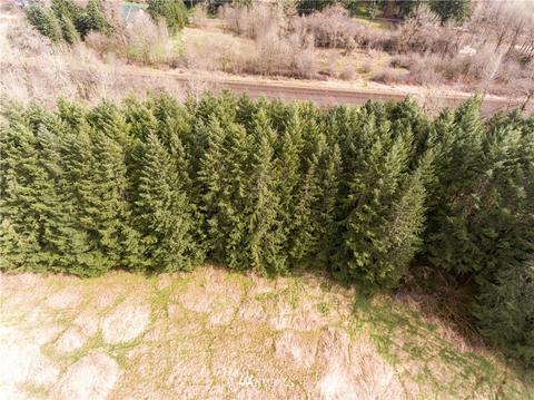 1439 Hining Rd, Winlock, WA 98596 photo 9