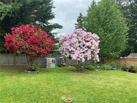 7424 Beverly Ln, Everett, WA 98203 photo 24