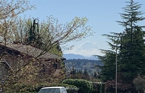 10420 NE 200th St, Bothell, WA 98011 photo 33