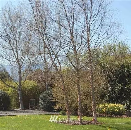 441 Pond Ln, Sequim, WA 98382 photo 20