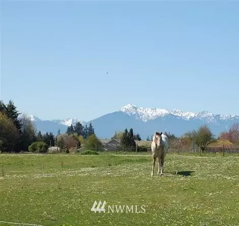 441 Pond Ln, Sequim, WA 98382 photo 16