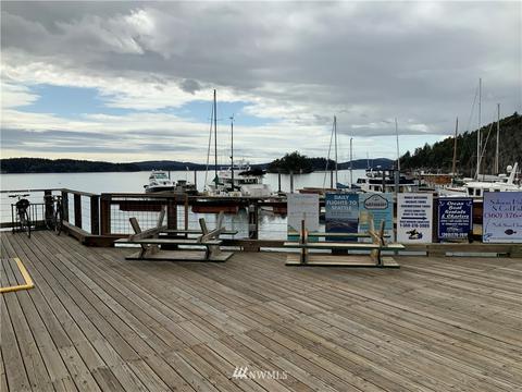 4622 Deer Harbor Rd, Eastsound, WA 98245 photo 36