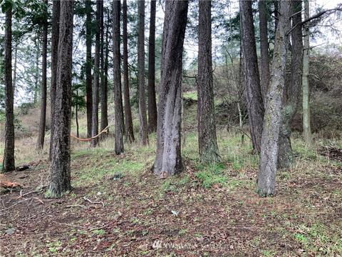 4622 Deer Harbor Rd, Eastsound, WA 98245 photo 33