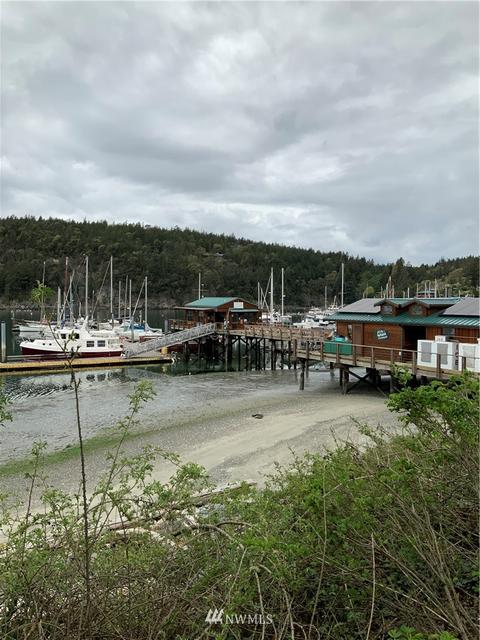4622 Deer Harbor Rd, Eastsound, WA 98245 photo 35