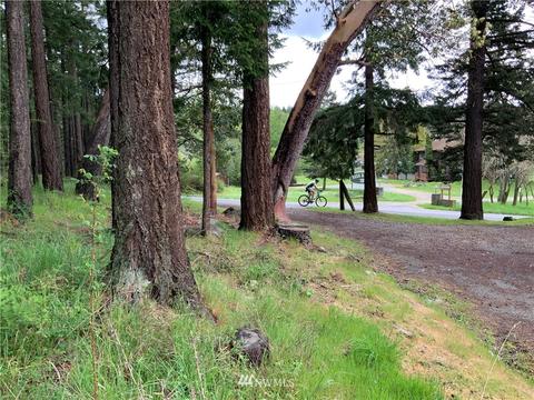 4622 Deer Harbor Rd, Eastsound, WA 98245 photo 31