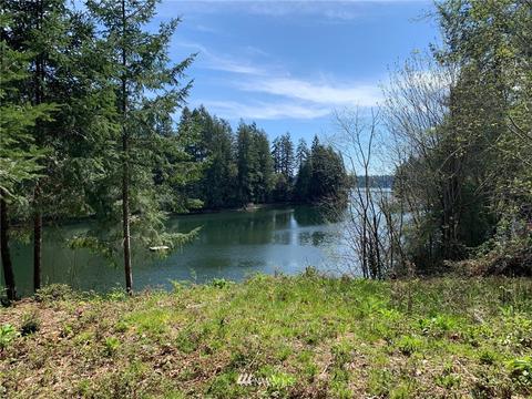 51 E Cormorant Pl, Grapeview, WA 98546 photo 1
