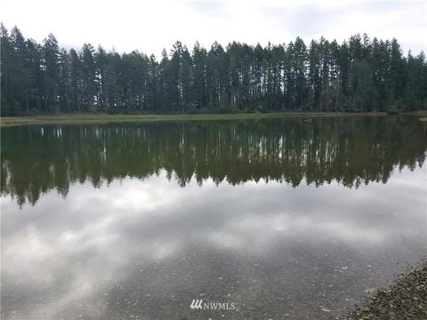 7270 E Grapeview Loop Rd, Allyn, WA 98524 photo 29