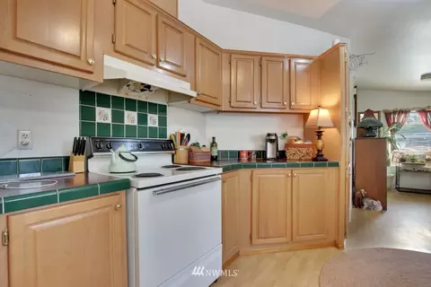 29620 7th Ave E, Roy, WA 98580 photo 9