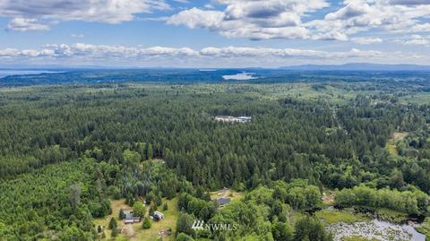 932 E Mason Benson Rd, Grapeview, WA 98546 photo 33