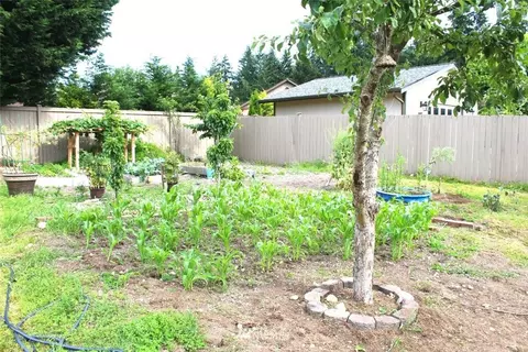 23507 48th Ave E, Spanaway, WA 98387 photo 12