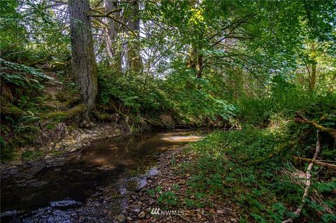 1561 King Rd, Winlock, WA 98596 photo 8