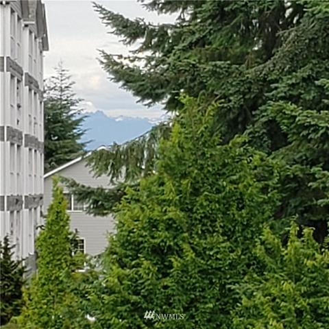 3726 Grand Ave SE, Everett, WA 98201 photo 16