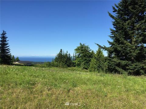 213 Elk Pass Rd, Sequim, WA 98382 photo 53