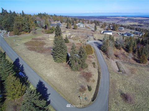 213 Elk Pass Rd, Sequim, WA 98382 photo 20