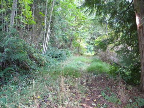 515 Chelsamish Dr, Sequim, WA 98382 photo 11