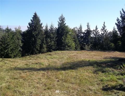 515 Chelsamish Dr, Sequim, WA 98382 photo 2
