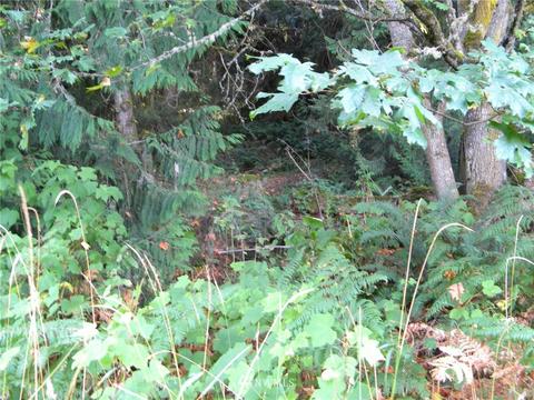 515 Chelsamish Dr, Sequim, WA 98382 photo 14