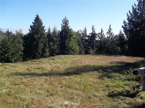 515 Chelsamish Dr, Sequim, WA 98382 photo 4