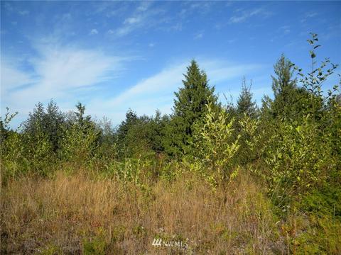 515 Chelsamish Dr, Sequim, WA 98382 photo 10