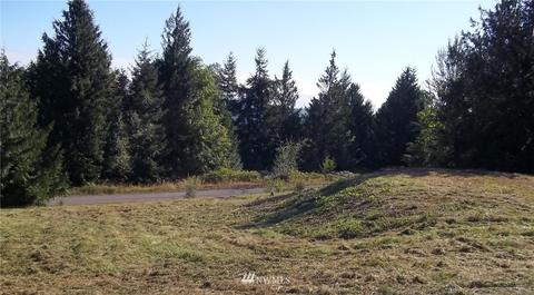 515 Chelsamish Dr, Sequim, WA 98382 photo 8