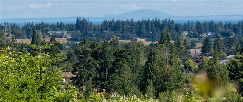41 Onyx Ln, Sequim, WA 98382 photo 33