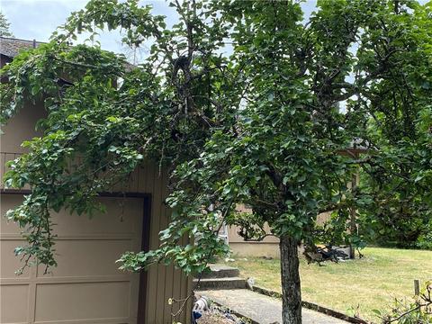 680 E Krabbenhoft Rd, Grapeview, WA 98546 photo 3