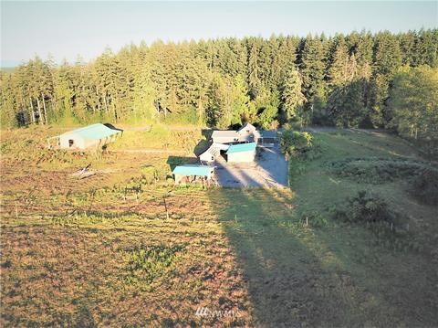 169 Bremgartner Rd, Winlock, WA 98596 photo 4
