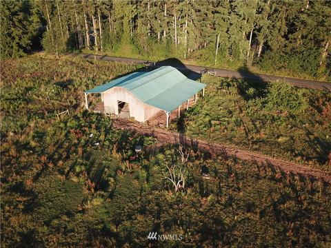 169 Bremgartner Rd, Winlock, WA 98596 photo 38