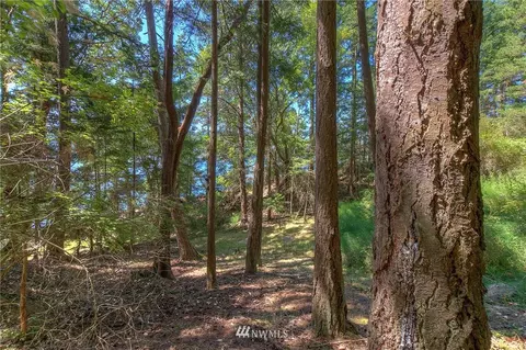 167 Shore Dr, Eastsound, WA 98245 photo 24