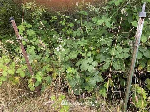 70 Marian Way, Sequim, WA 98382 photo 21